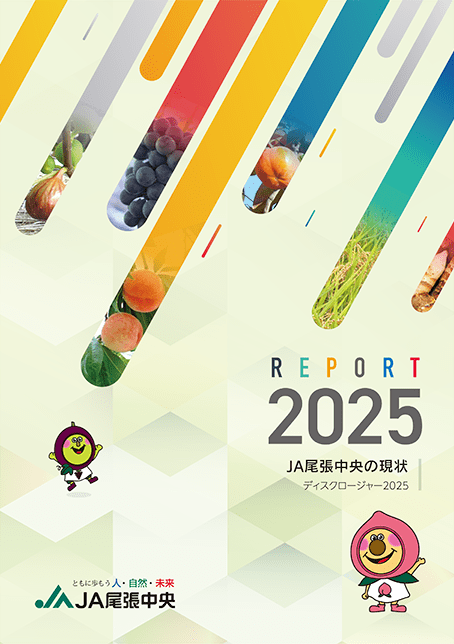 ディスクロージャー2025