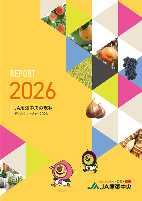 ディスクロージャー2026