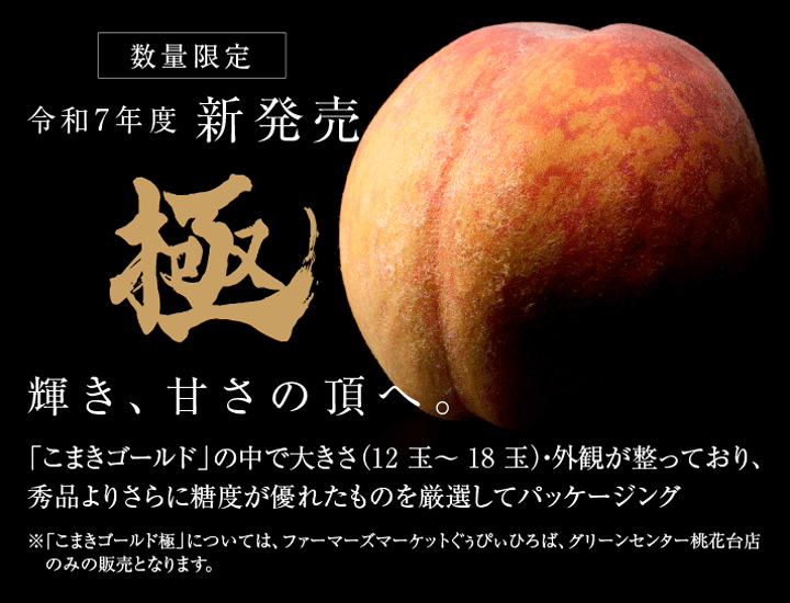 令和7年度 新発売 数量限定 「こまきゴールド極」 輝き、甘さの頂へ。「こまきゴールド」の中で大きさ（12 玉～ 18 玉）・外観が整っており、秀品よりさらに糖度が優れたものを厳選してパッケージング。 ※「こまきゴールド極」については、ファーマーズマーケットぐぅぴぃひろば、グリーンセンター桃花台店のみの販売となります。